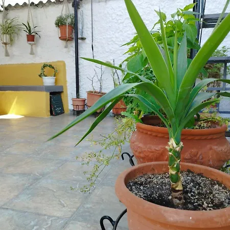 Апартаменты Voulas